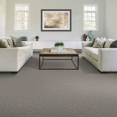 Superb Carpets Flooring Inc providing easy stain-resistant pet friendly carpet in Wheaton, IL - Natural Purpose - Bottle Cap